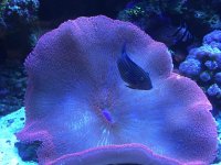 IMG_4298.jpg