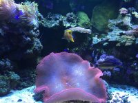 IMG_4281.jpg