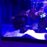 IMG_0362.jpg