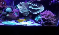20150708_160317.jpg