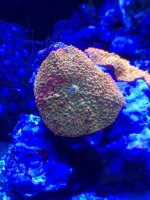 thumb_IMG_0257_1024.jpg