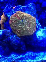 thumb_IMG_0258_1024.jpg