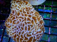 DSCN3742.JPG