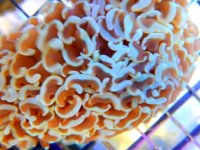 DSCN3746.JPG
