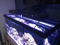 IMG_20160325_173846.jpg