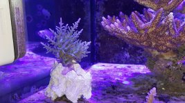 20160527_205456-1024x576.jpg