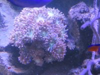 IMG_0071.jpg