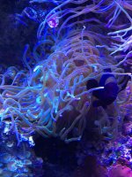 IMG_2137.jpg