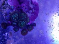 20160529_151727.jpg