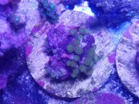 20160529_151545.jpg