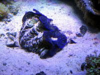 IMG_0080.jpg