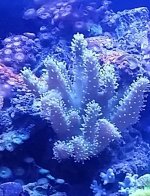 20160425_221640-1.jpg