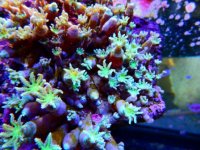 DSCN3775.JPG