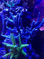 IMG_2719.jpg