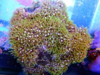 DSCN3790.JPG