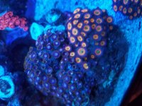 20160901_104652.jpg