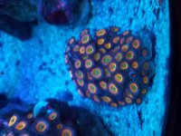 20160901_104641.jpg