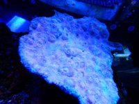 DSCN3796.JPG