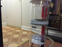 IMG_0056.jpg