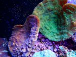 DSCN3801.JPG