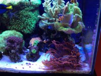 IMG_2479.jpg