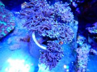 DSCN3806.JPG