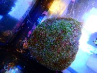 DSCN3808.JPG