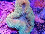 DSCN3815.JPG