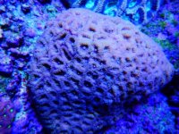 DSCN3816.JPG