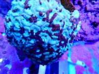 DSCN3820.JPG