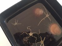 starfish and scallops.JPG