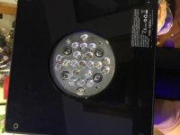 IMG_2224.jpg