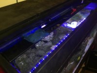 IMG_0208.jpg