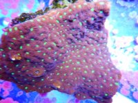 DSCN3831.JPG