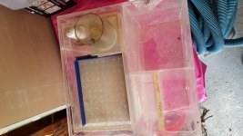 20160325_121538.jpg