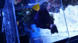 20160601_195739.jpg