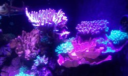 20150708_163419.jpg