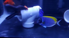 20151218_160919.jpg