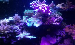 20150708_163430_resized.jpg
