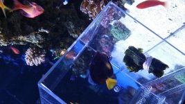20160601_195801.jpg