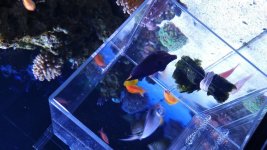 20160601_195804.jpg