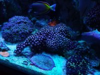 20160902_184628.jpg