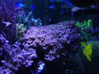 IMG_2806.JPG