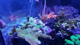 20151218_184526.jpg