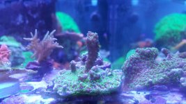 20151218_184540.jpg