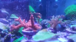 20151218_184546.jpg