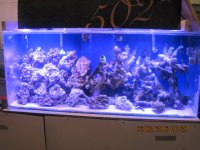 IMG_1781.JPG