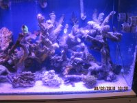 IMG_1782.JPG