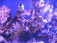 IMG_1783.JPG