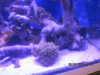 IMG_1786.JPG